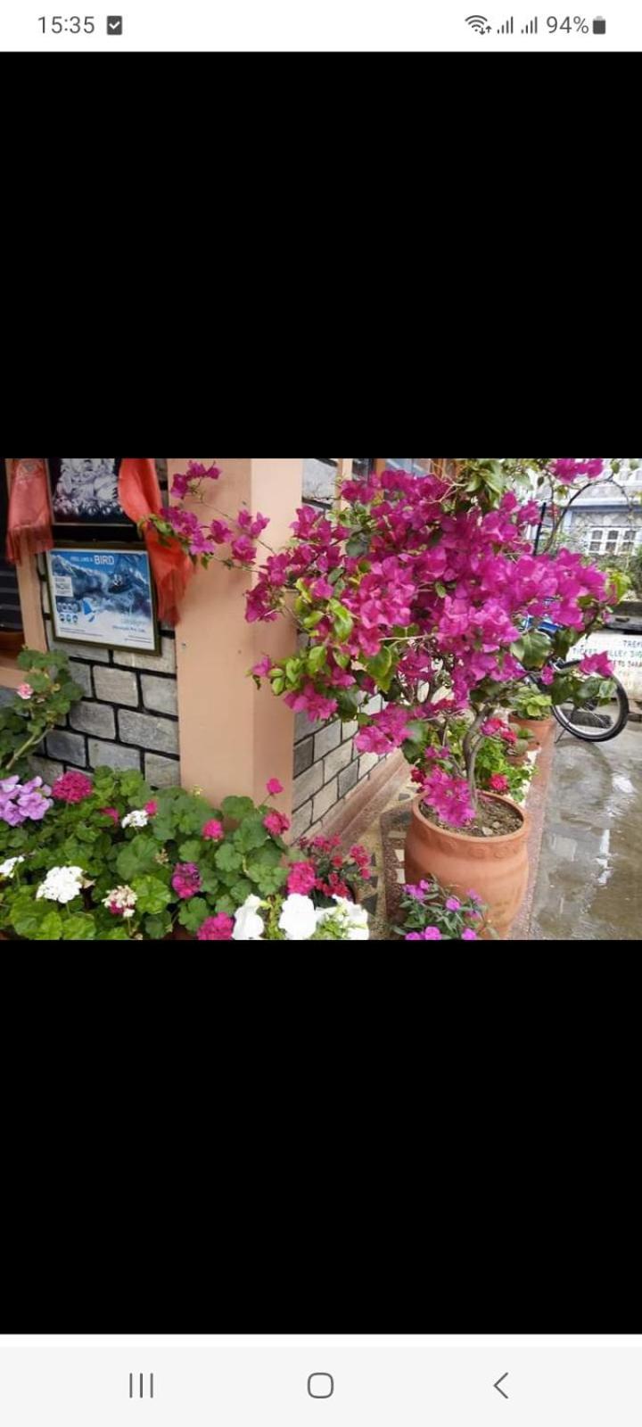 Galaxy Inn Guest House Похара Екстериор снимка